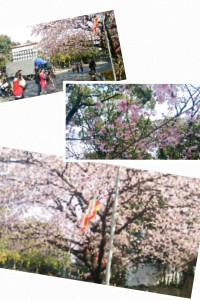 wpid-20140318193405377.jpg
