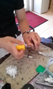 IMG03597